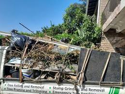 Best Dumpster Rental Services  in Blue Mountain, MS