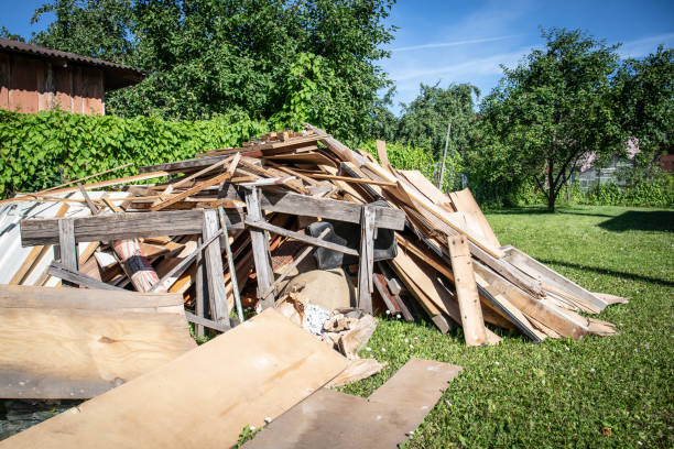 Best Shed Removal  in Blue Mountain, MS